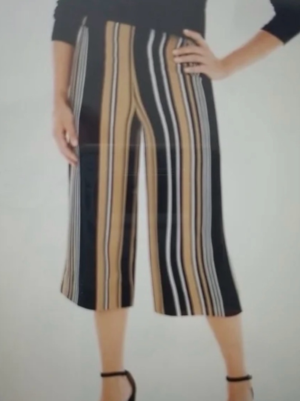 Chicos Dixie Black and Tan Striped Wide-Leg Cropped Pants 2.5 (Xl/14)